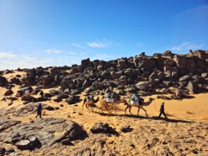 Circuit Djanet Algérie