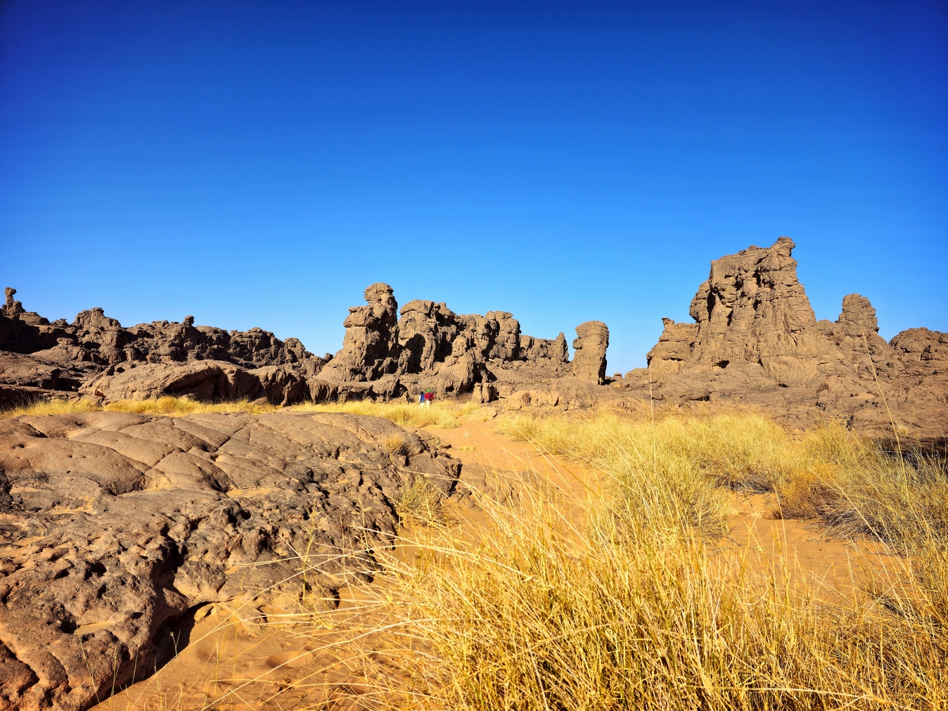 découverte du Tassili N'Ajjer