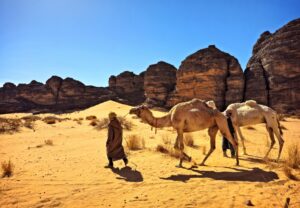 Trek dans le désert, quelle expérience vit-on ?