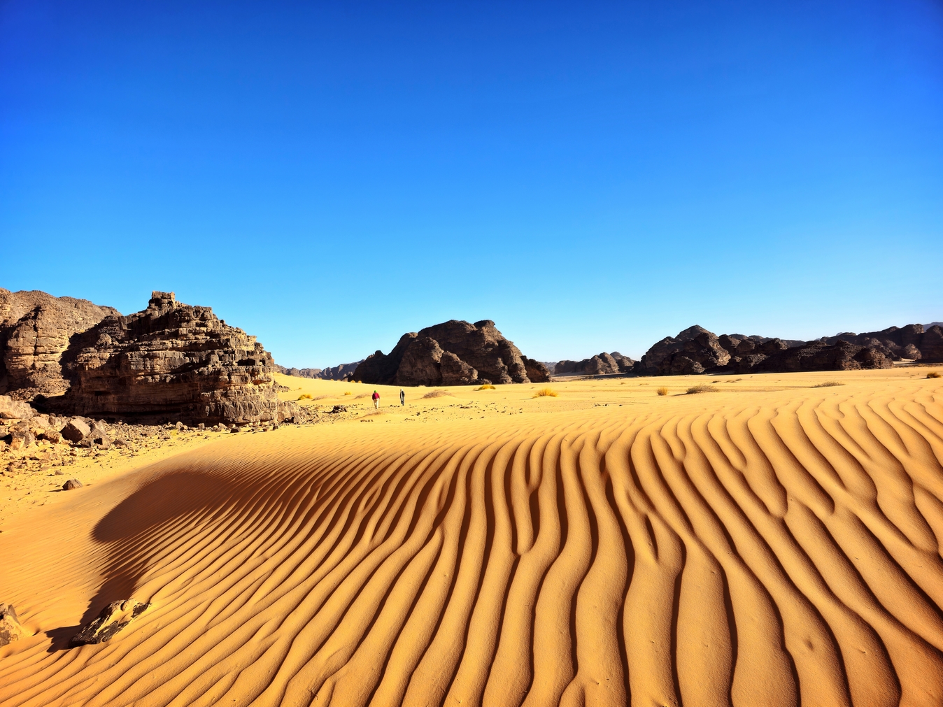 découverte du Tassili N'Ajjer