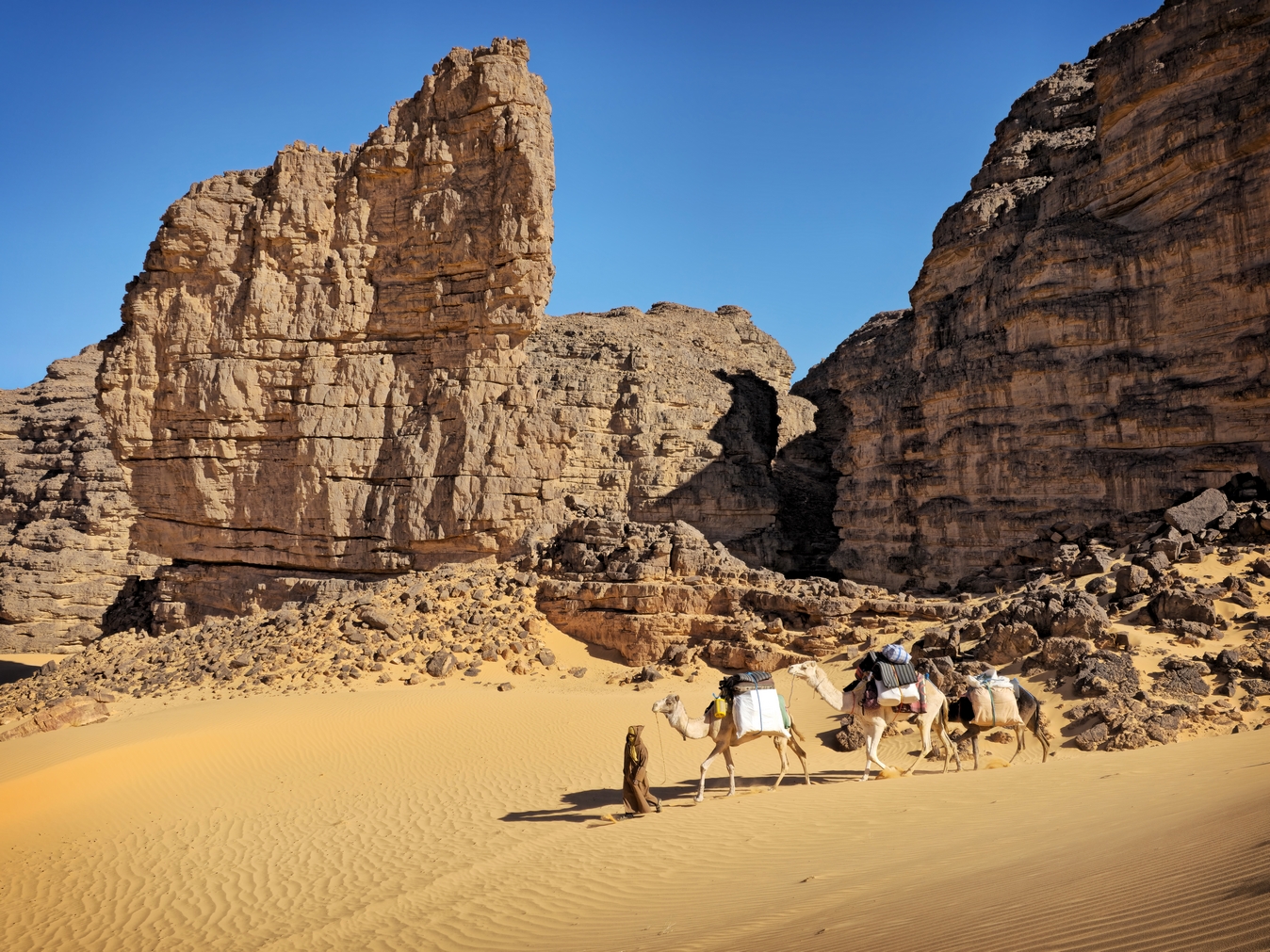 découverte du Tassili N'Ajjer