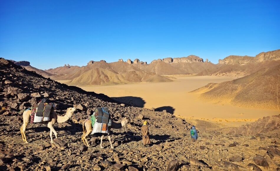 Photo Algérie
