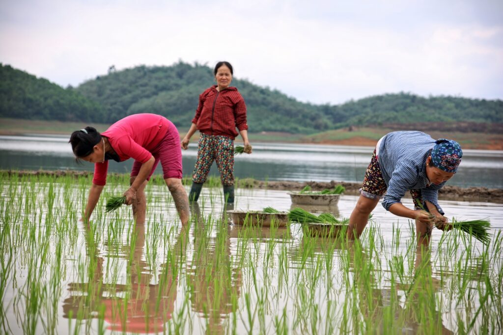 Ethnies du nord Vietnam