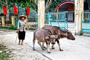 Photo Découverte et rencontre