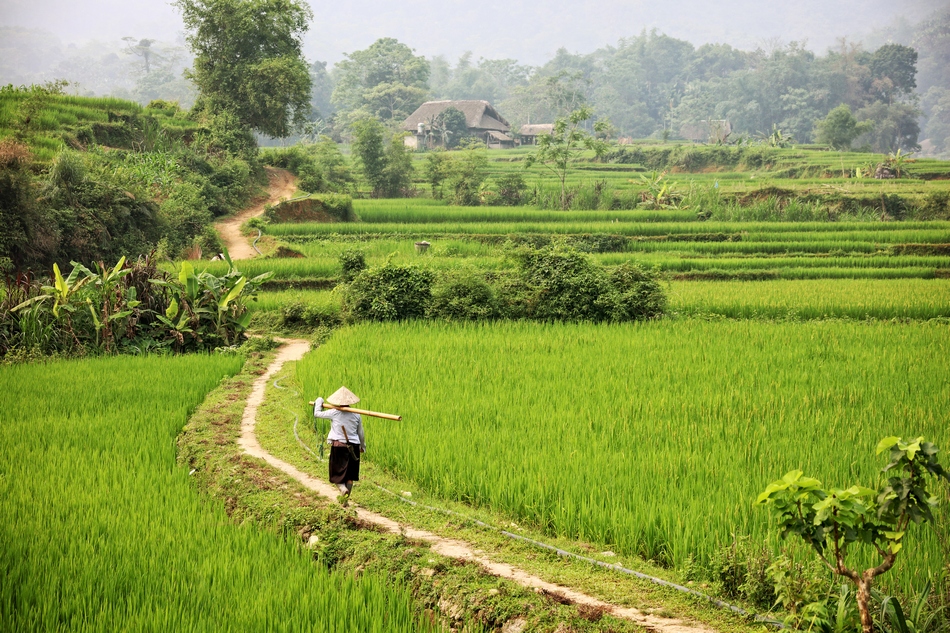 ethnies du nord vietnam