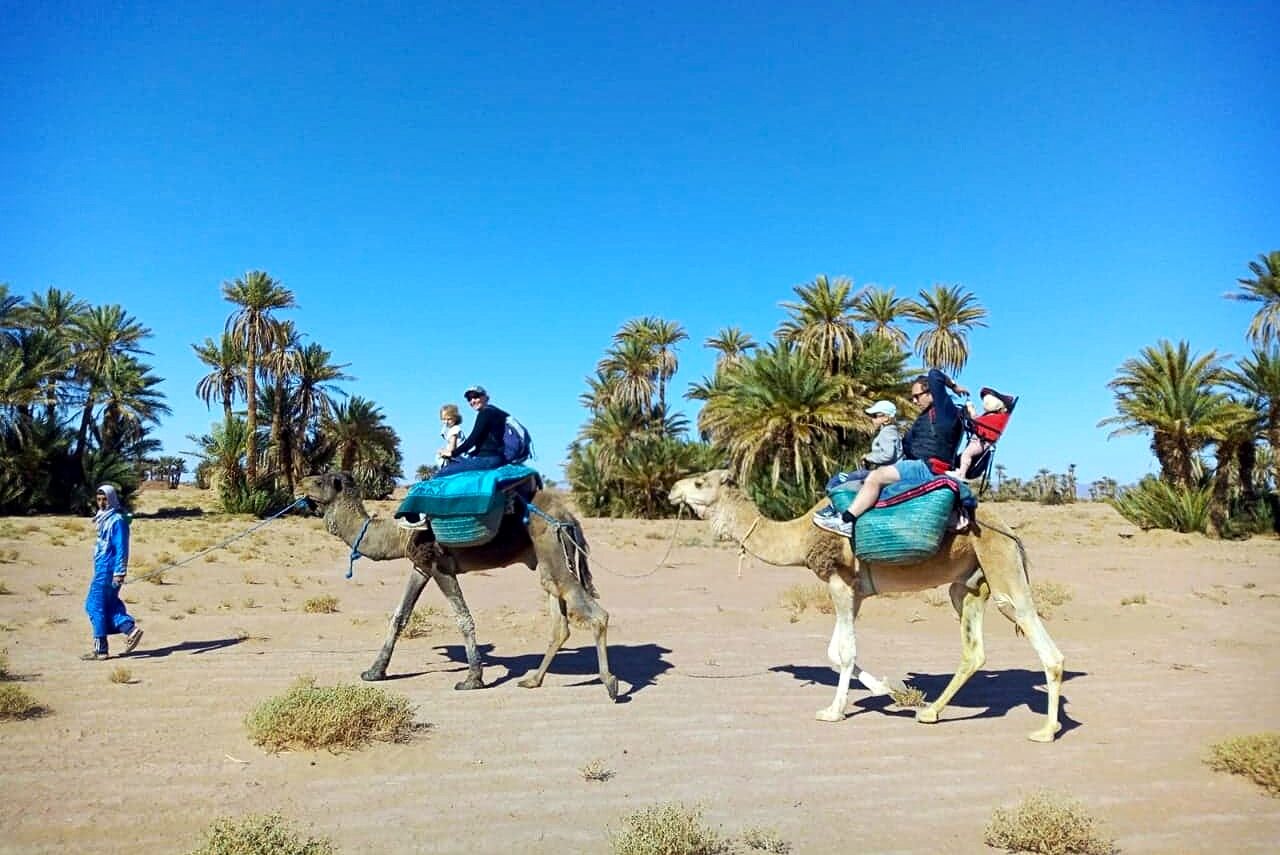 immersion saharienne