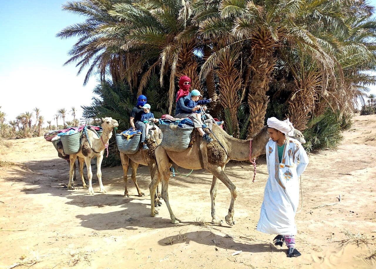 immersion saharienne