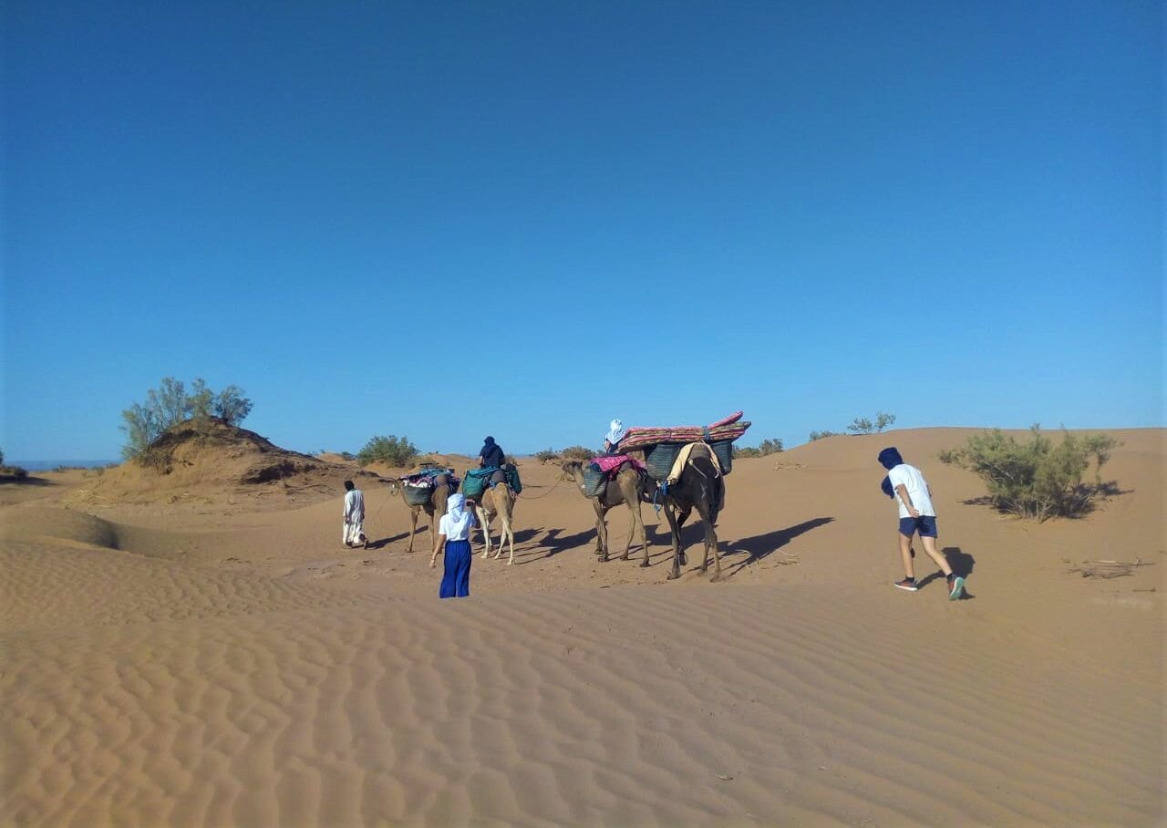 immersion saharienne