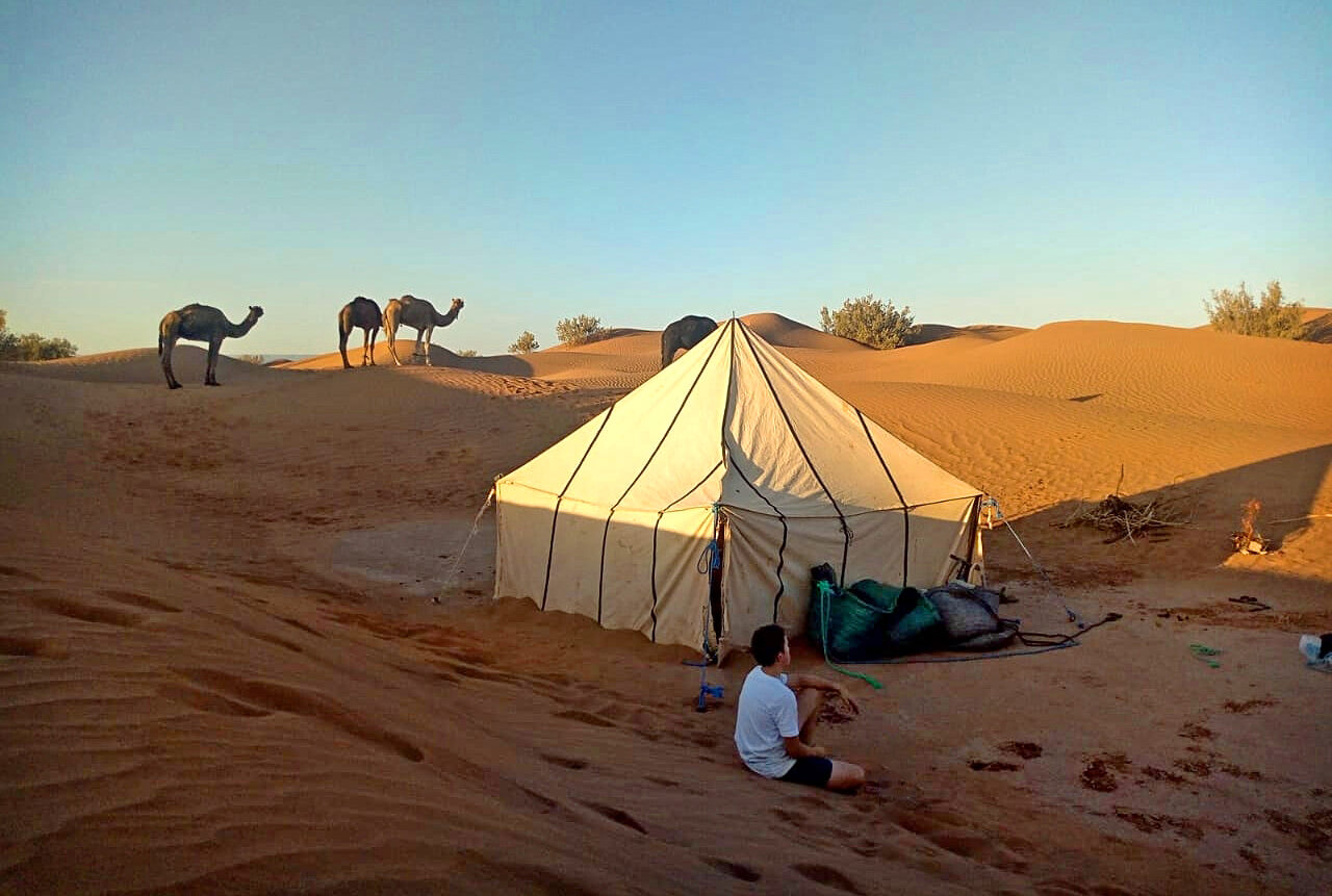 immersion saharienne