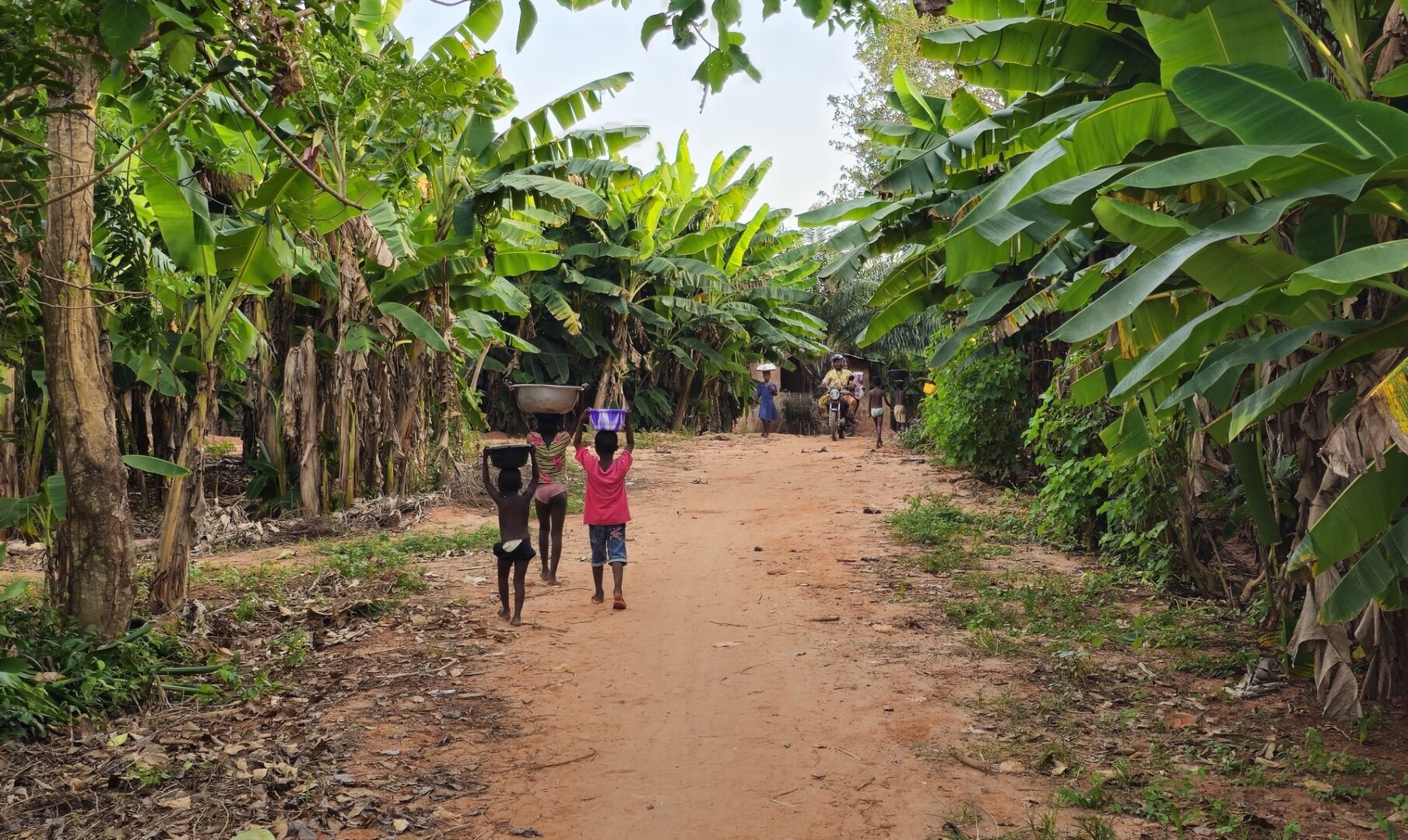 immersion et partage