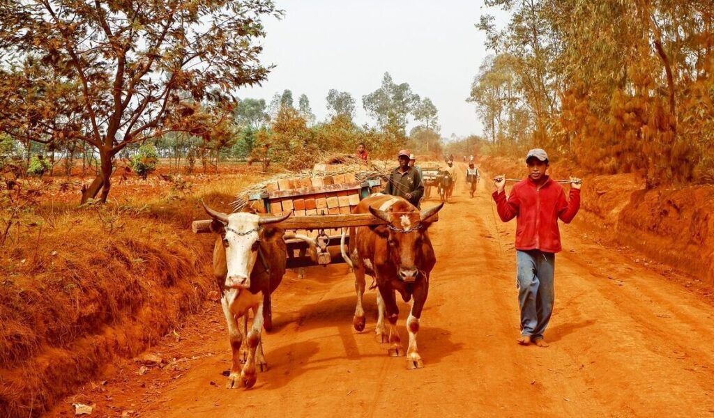 nos engagements solidaires