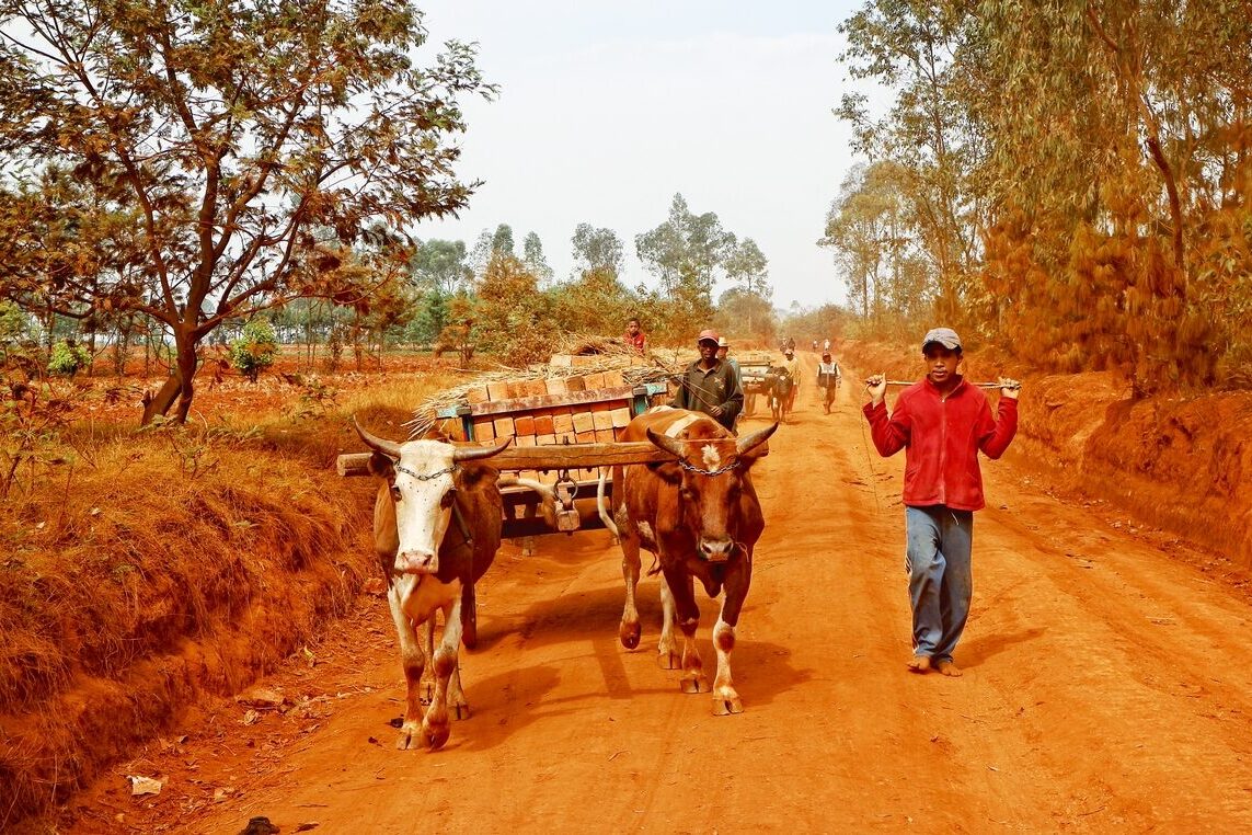 nos engagements solidaires