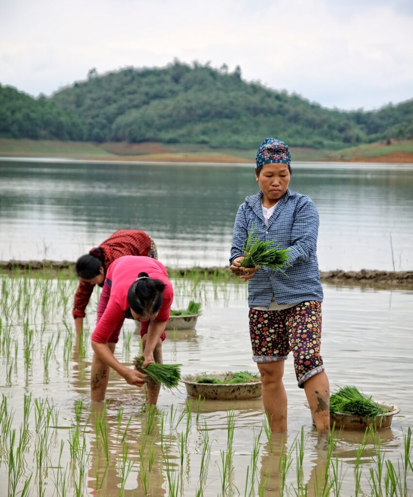 découverte et rencontre
