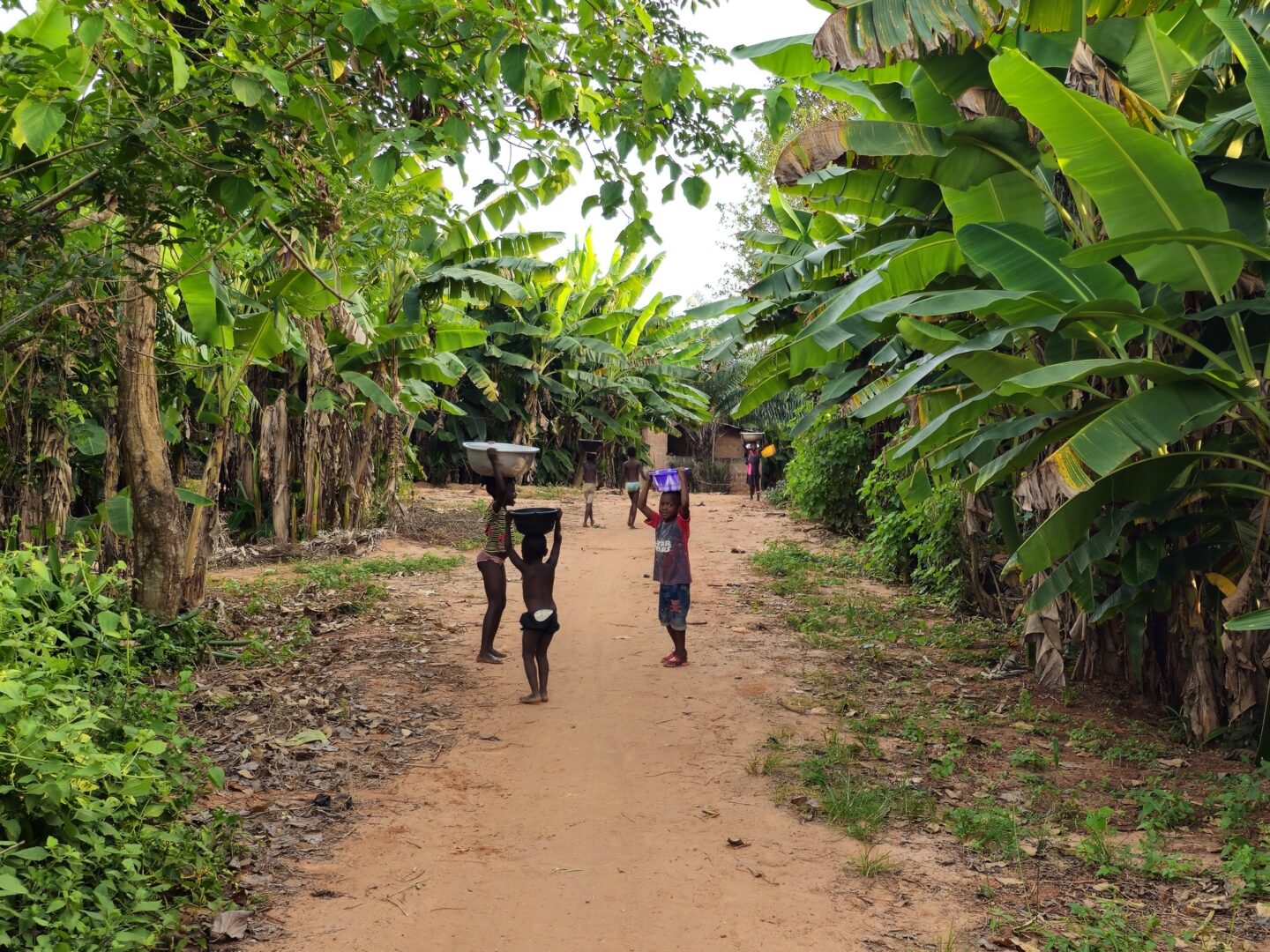 immersion culturelle Bénin