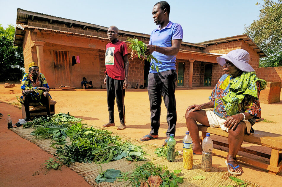 immersion culturelle