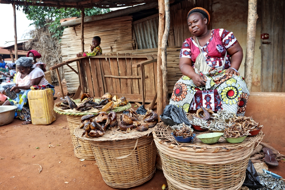 immersion culturelle