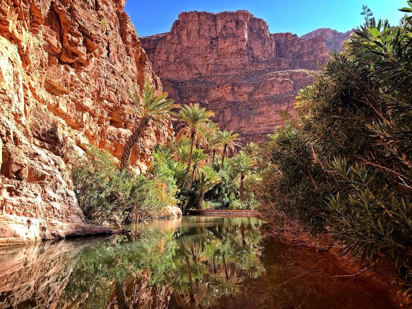 Voyage dans l'Anti-Atlas