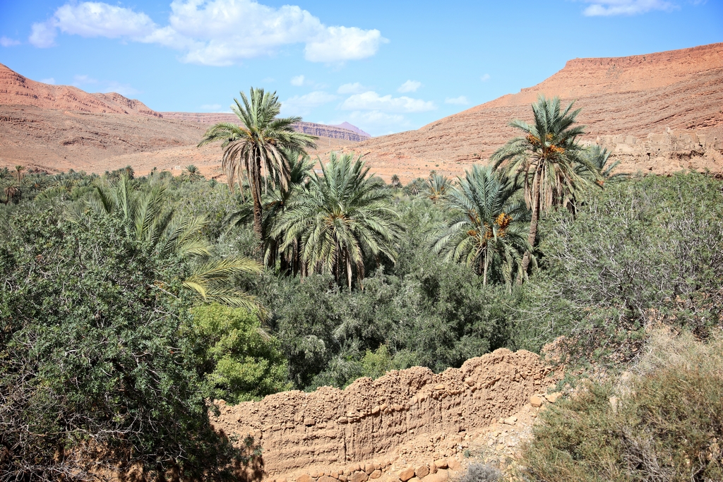 vallée du ziz