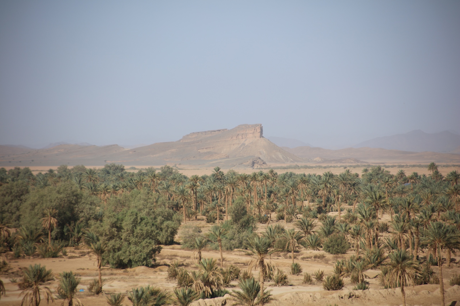vallée du ziz