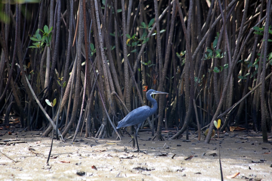 immersion culture et traditions