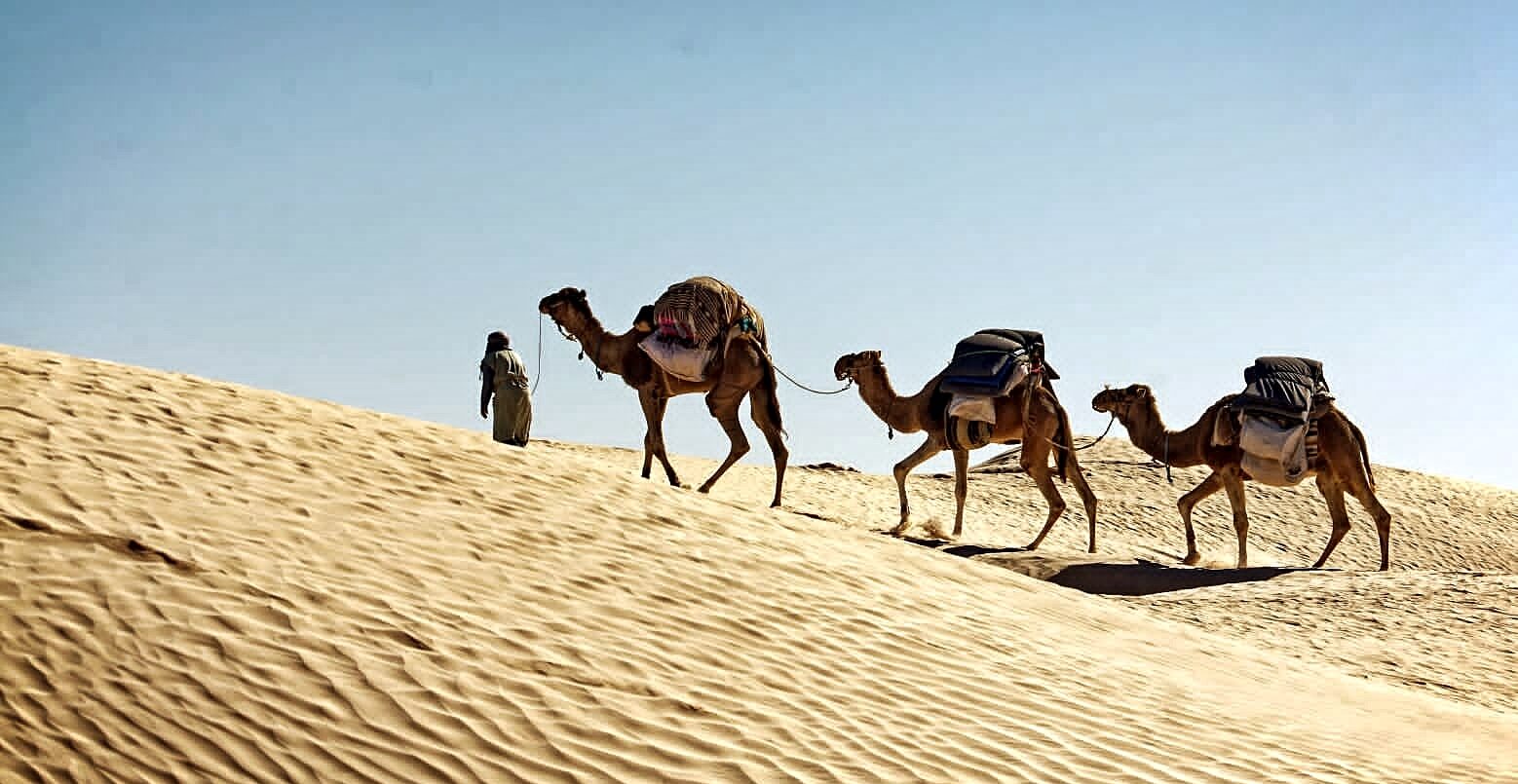 trek tunisie
