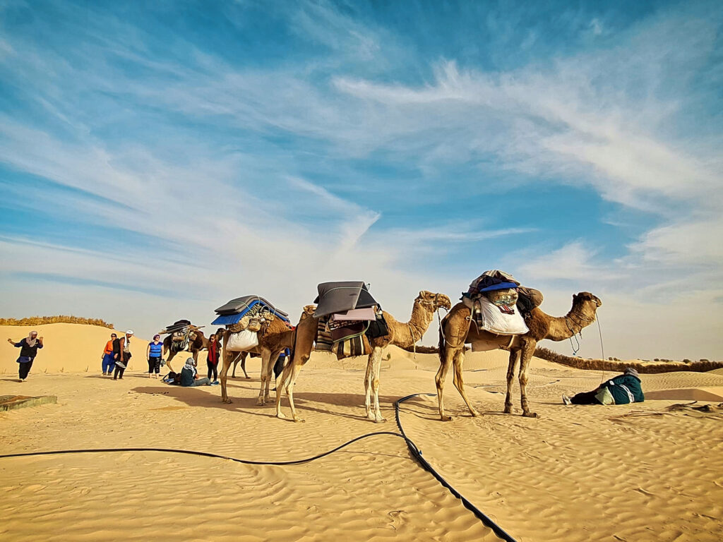 trek desert tunisie