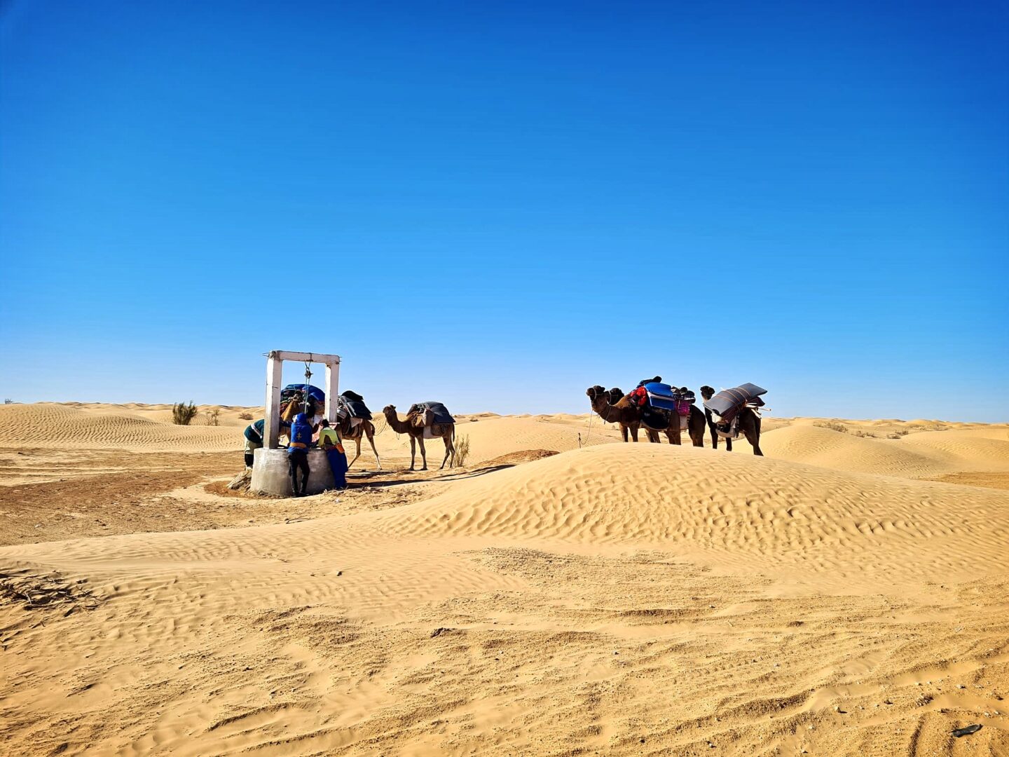 trek desert tunisie