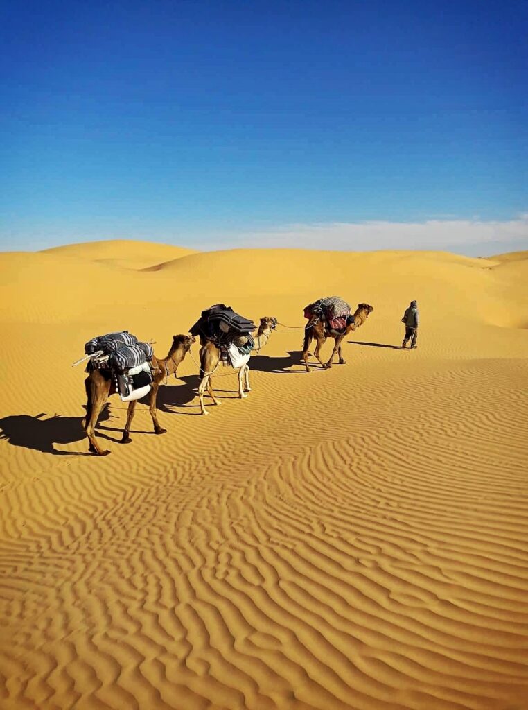 Trek désert et oasis tunisiens